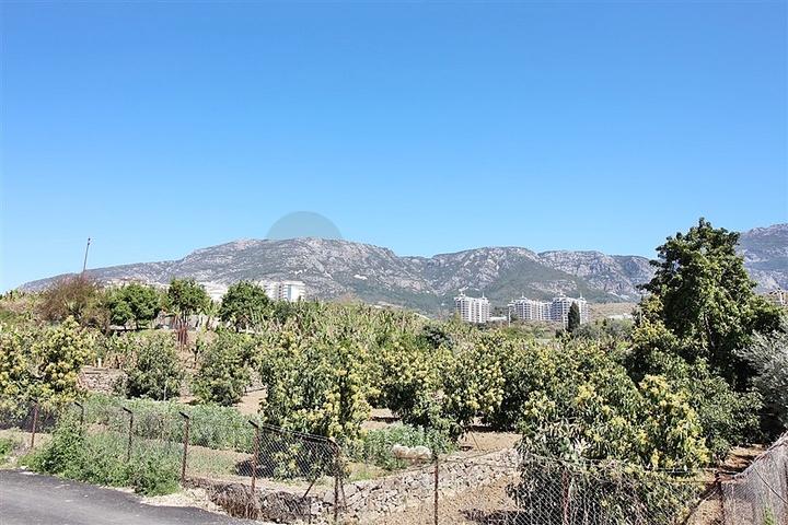 شقة مفروشة من نموذج غرفة وصالة في موقع مميز ضمن محمودلار / الانيا