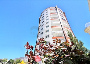 شقة مفروشة من نموذج غرفة وصالة في موقع مميز ضمن محمودلار / الانيا