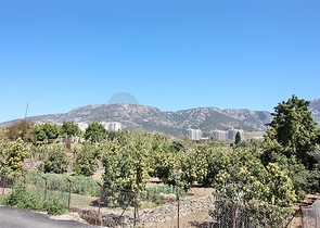 شقة مفروشة من نموذج غرفة وصالة في موقع مميز ضمن محمودلار / الانيا