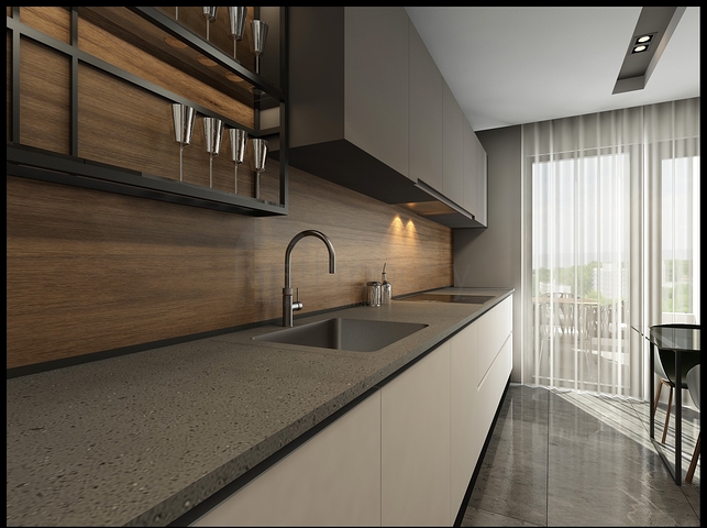 مشروع استثماري في وسط لارا انطاليا