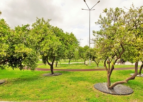 بنتهاوس واسع 4 + 2 في أونجالي كونيالتي أنطاليا