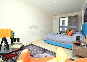 شقة غرفة نوم وصالة مؤثثة في توسمور - الانيا 