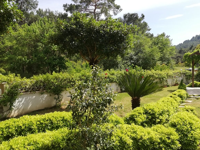 شقة 1 + 1 مع أثاث في Camyuva Kemer