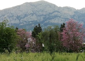 شقة 1 + 1 مع أثاث في Camyuva Kemer