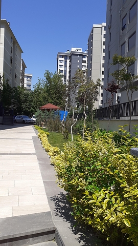 دوبلكس فاخرة قريبة من البحر في كاديكوي - اسطنبول 