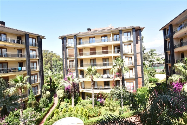 في مركز الانيا وضمن مجمع اول صف على البحر -شقة بتصميم ثلاث  غرف وصالة 