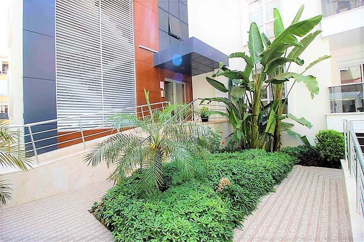 شقة ثلاث غرف وصالة مفروشة في مركز الانيا 