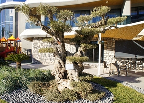 للمستثمرين - مشروع قيد الانشاء في اول صف على البحر  للمستثمرين - مشروع قيد الانشاء في اول صف على البحر