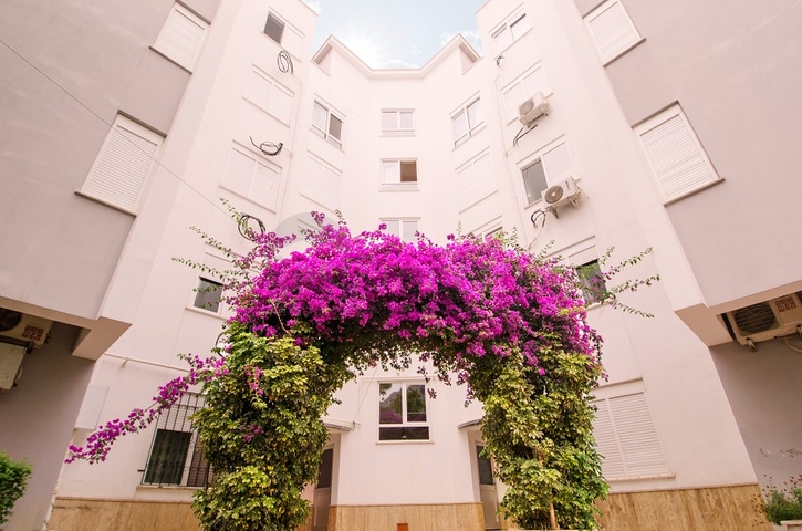 شقة بغرفتي نوم في مجمع سكني مع حوض سباحة في منطقة كونيالتي