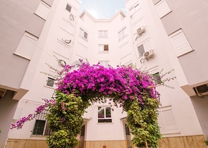 شقة بغرفتي نوم في مجمع سكني مع حوض سباحة في منطقة كونيالتي