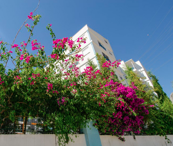 شقة 1 +1 في هورما كونيالتي