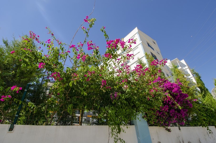 شقة 1 +1 في هورما كونيالتي