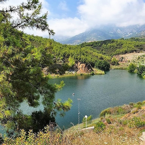 شقة استديو ضمن مجمع فاخر في منطقة هادئة في الانيا 