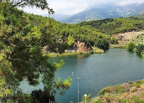 شقة استديو ضمن مجمع فاخر في منطقة هادئة في الانيا 