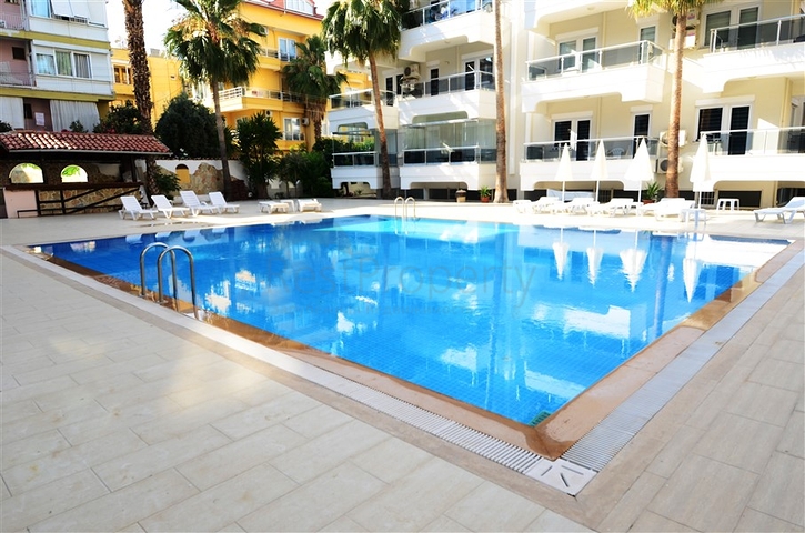 شقة غرفة وصالة مفروشة - ضمن مركز مدينة الانيا 