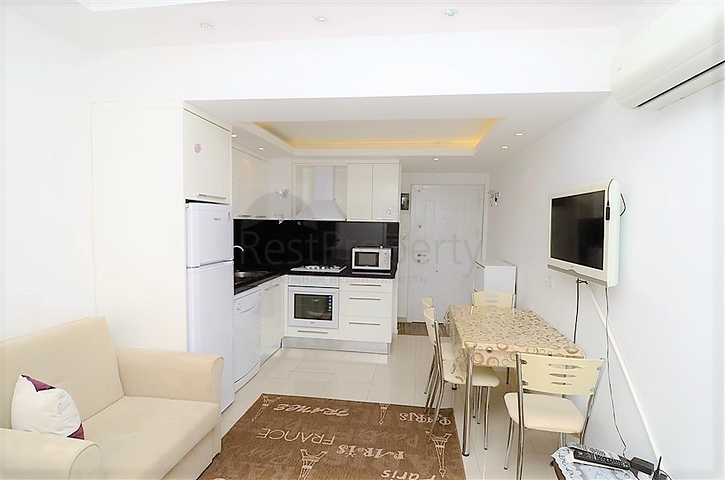 شقة غرفة وصالة مفروشة - ضمن مركز مدينة الانيا 