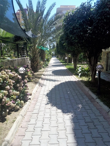 شقة غرفتين وصالة مفروشة ضمن مجمع سكني في مهوتلار / الانيا 