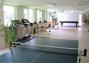 دوبلكس اربع غرف وصالة في منطقة مركزية في الانيا 