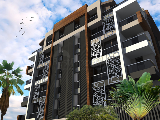 مشروع استثماري بالتقسيط لمدة 12 شهر في كونيالتي 