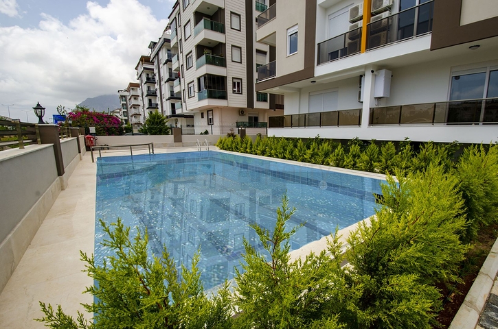 مشروع استثماري بالتقسيط لمدة 12 شهر في كونيالتي 