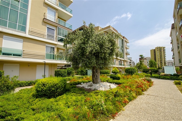 شقة بغرفة نوم واحدة مع أثاث في مجمع مخطط شقق فندقيه