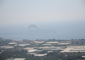 ضمن اشهر مجمعات الانيا - شقة مفروشة غرفتين وصالة 