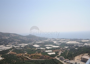 ضمن اشهر مجمعات الانيا - شقة مفروشة غرفتين وصالة 