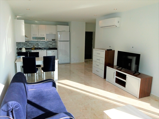 اول خط على البحر - شقة مفروشة غرفة وصالة في كاستل / الانيا 