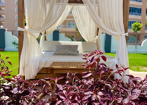 مشروع استثماري بخدمات خمس نجوم 