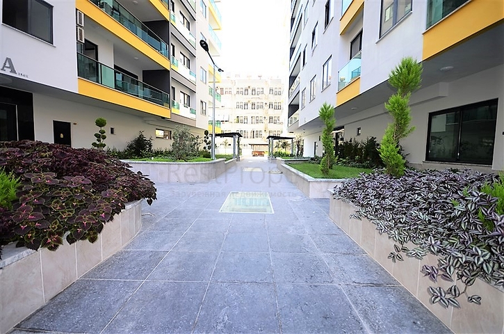 في مركز الانيا - شقة مؤثثة من تصميم غرفة وصالة في مجمع سكني حديث 