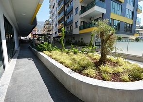 في مركز الانيا - شقة مؤثثة من تصميم غرفة وصالة في مجمع سكني حديث 