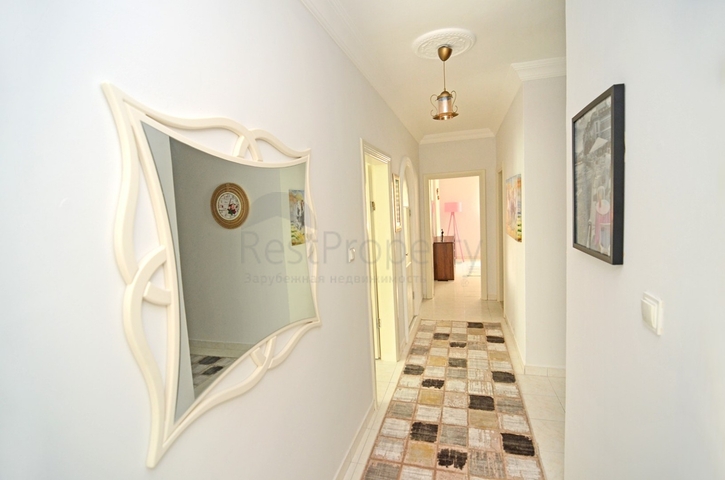 شقة ثلاث غرف وصالة مفروشة وبسعر مميز في الانيا 