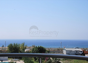 شقة غرفتين وصالة باطلالة بحرية مباشرة في الانيا 