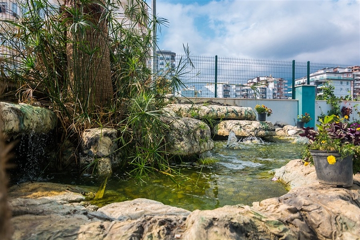 شقة غرفة نوم وصالة مفروشة ضمن مجمع سكني حديث في الانيا 