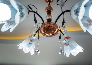 شقة غرفة نوم وصالة مفروشة ضمن مجمع سكني حديث في الانيا 