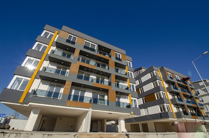 محلين للبيع في منطقة ليمان في كونيالتي