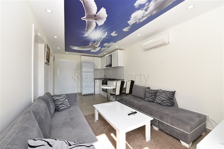 شقة مفروشة في مركز الانيا - مناسبة للاستثمار والسكن 