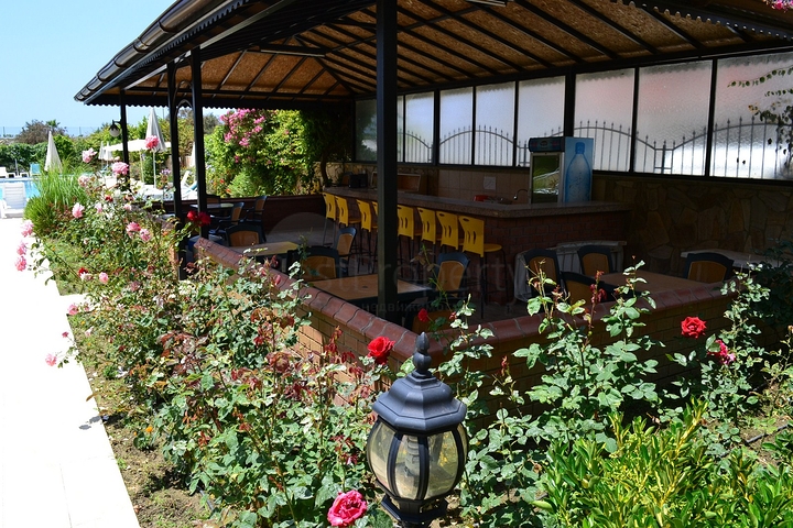 اطلالة بحر - مطبخ منفصل - شقة 2 غرفة وصالة في مهوتلار / الانيا 