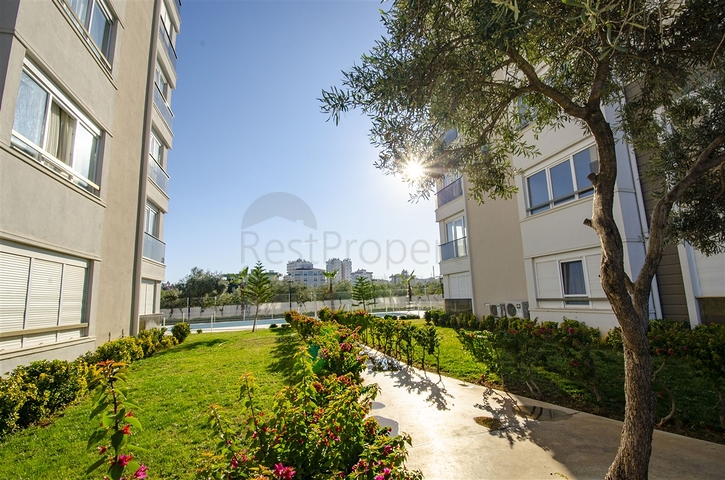 مشروع جاهز في كيبيز بأسعار في متناول الجميع