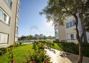 مشروع جاهز في كيبيز بأسعار في متناول الجميع