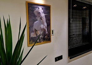 قمة الفخامة - فيلا الاحلام - اطلالة بحر وقلعة - في الانيا 