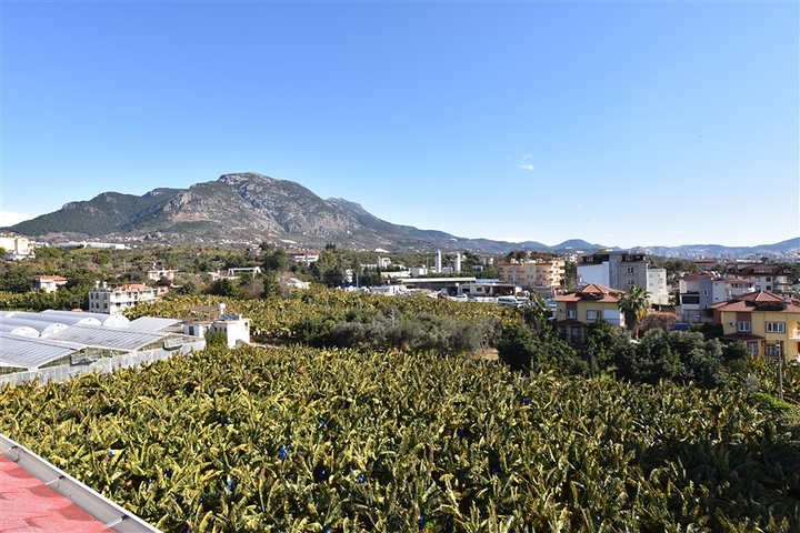 مجمع سكني بخدمات مميزة - قريب من البحر - كاستل / الانيا 