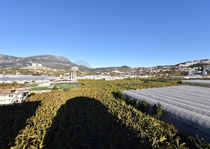 دوبلكس فاخرة - ضمن مجمع 5 نجوم - بسعر مميز - في الانيا 