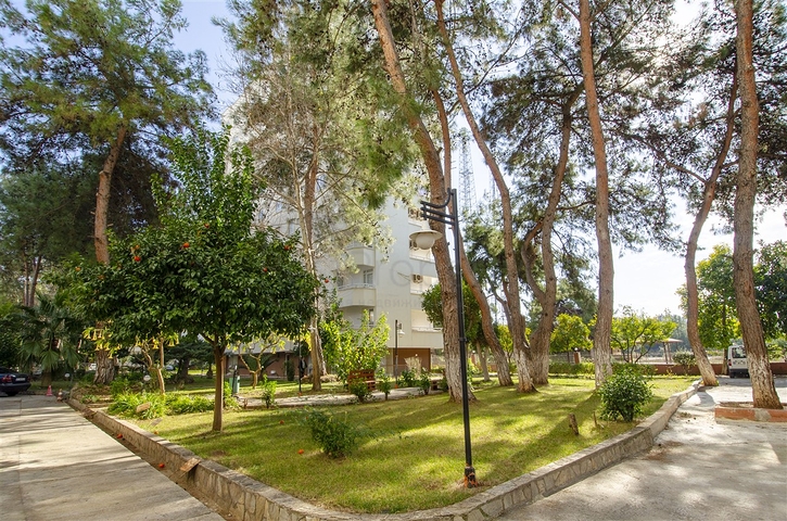 شقة واسعة 3 + 1 شقة في اونجالي كونيالتي بالقرب من حديقة ناشيرا