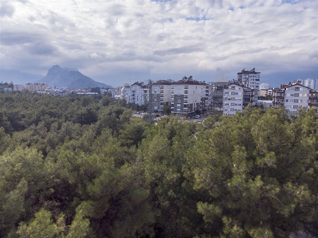 شقة واسعة 3 + 1 شقة في اونجالي كونيالتي بالقرب من حديقة ناشيرا