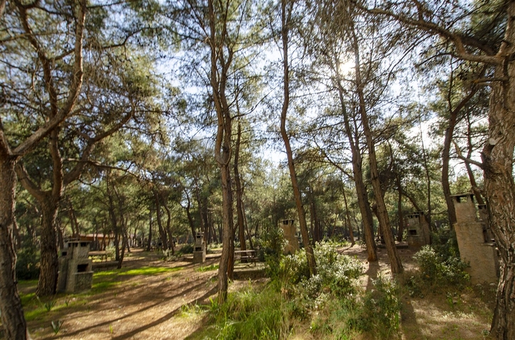 شقة واسعة 3 + 1 شقة في اونجالي كونيالتي بالقرب من حديقة ناشيرا