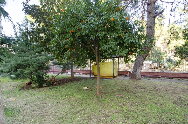 شقة واسعة 3 + 1 شقة في اونجالي كونيالتي بالقرب من حديقة ناشيرا