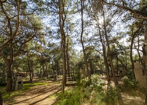 شقة واسعة 3 + 1 شقة في اونجالي كونيالتي بالقرب من حديقة ناشيرا