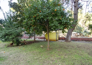 شقة واسعة 3 + 1 شقة في اونجالي كونيالتي بالقرب من حديقة ناشيرا