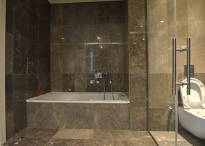 في قمة اشهر ابراج اسطنبول - بنتهاوس فاخرة جدا . 